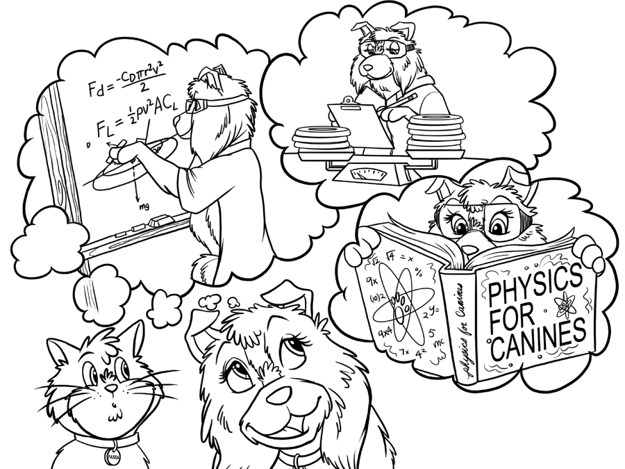 The Physics Of Frisbee